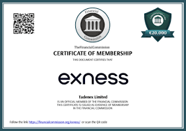top 10 mt4 indicators exness 11 top 10 mt4 indicators exness 11